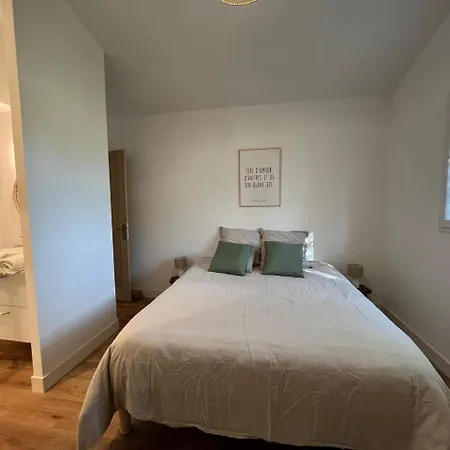 Petit Caprice - Piscine Privee Au Calme Dans Jardin Arbore Lanton