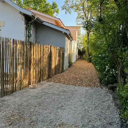 Petit Caprice - Piscine Privee Au Calme Dans Jardin Arbore Лантон