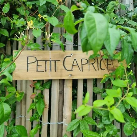 Дом отдыха Petit Caprice - Piscine Privee Au Calme Dans Jardin Arbore *